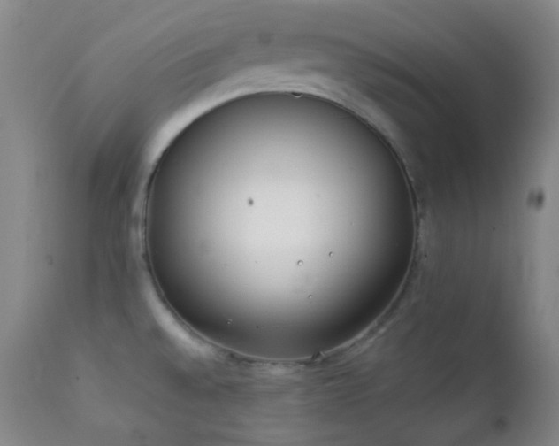 X0000111151528200906301325