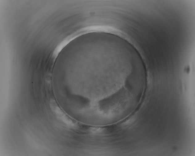 X0000111151529200906301325