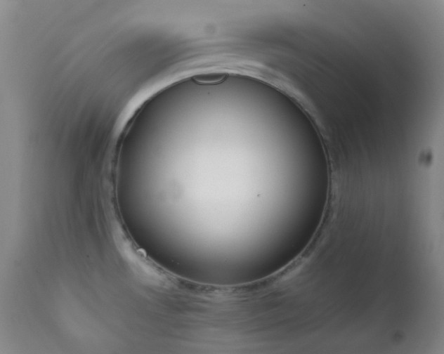 X0000111151530200906301325