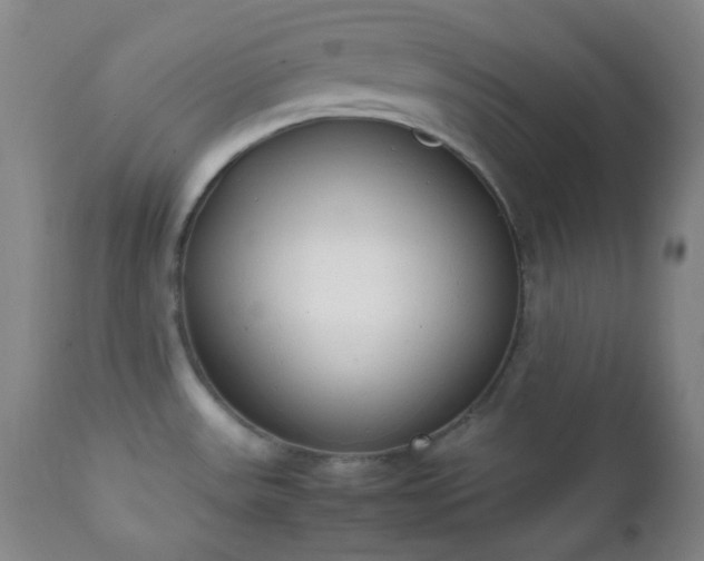 X0000111151531200906301325