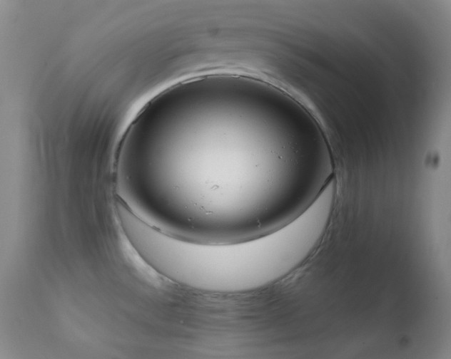 X0000111151532200906301325