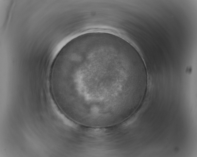 X0000111151533200906301325