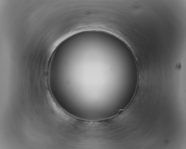 X0000111151534200906301325