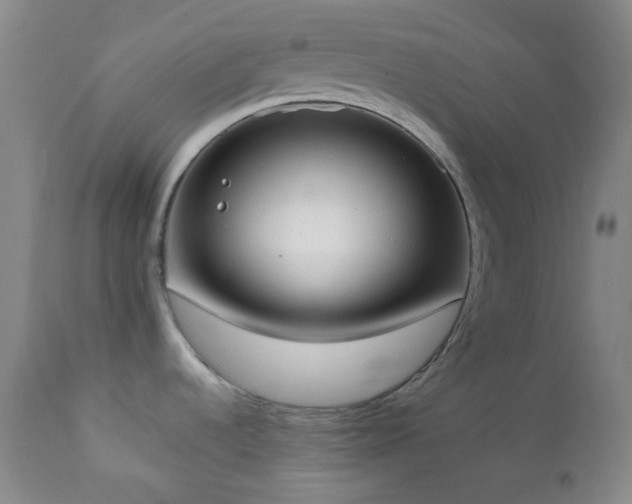 X0000111151536200906301326