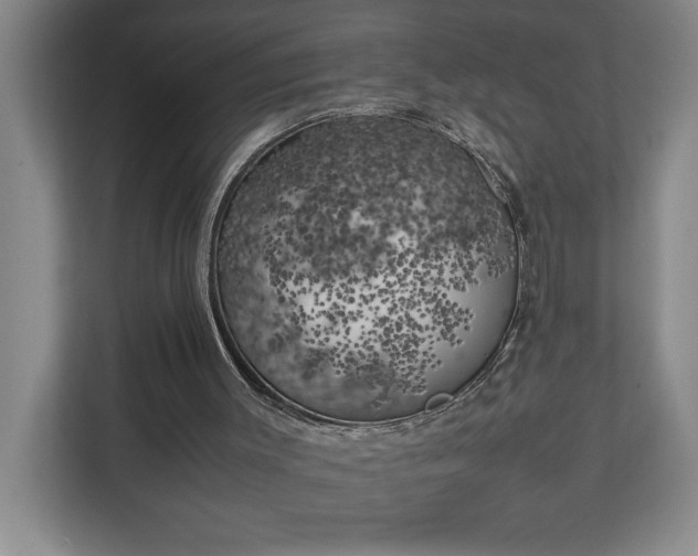 X0000111150003200907071118