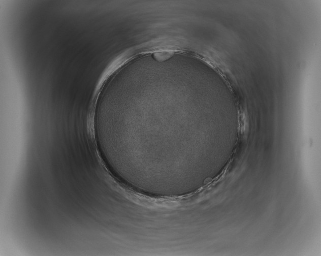 X0000111150004200907071118