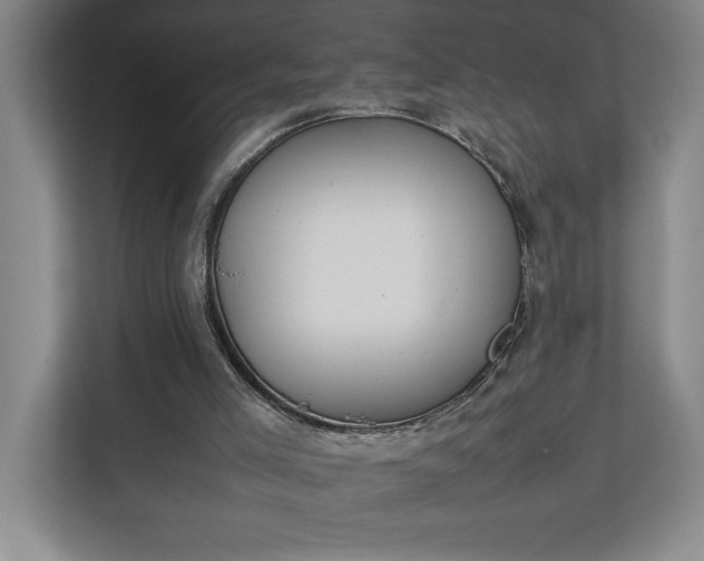 X0000111150005200907071118