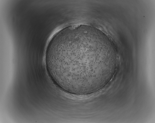 X0000111150006200907071118