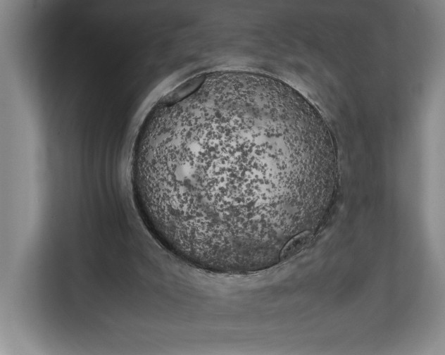X0000111150007200907071118