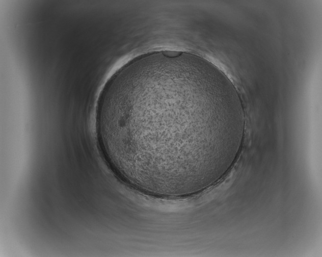 X0000111150008200907071118