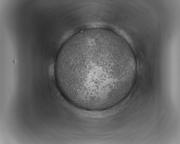 X0000111150010200907071118