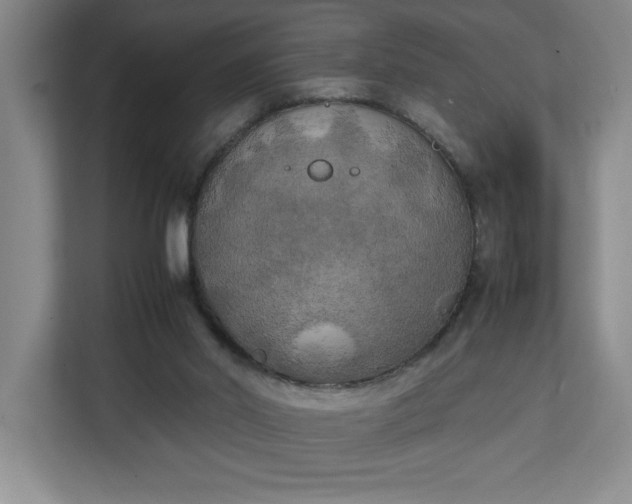 X0000111150014200907071118