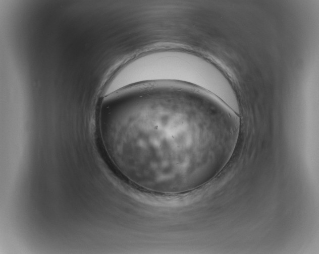 X0000111150015200907071118