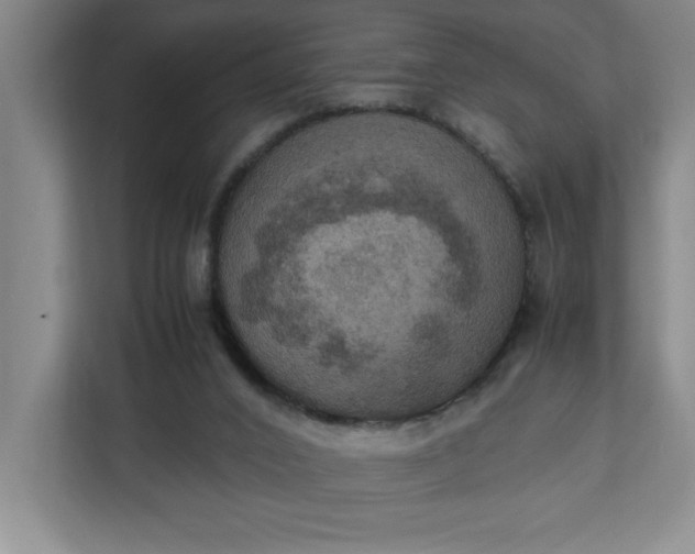 X0000111150016200907071118