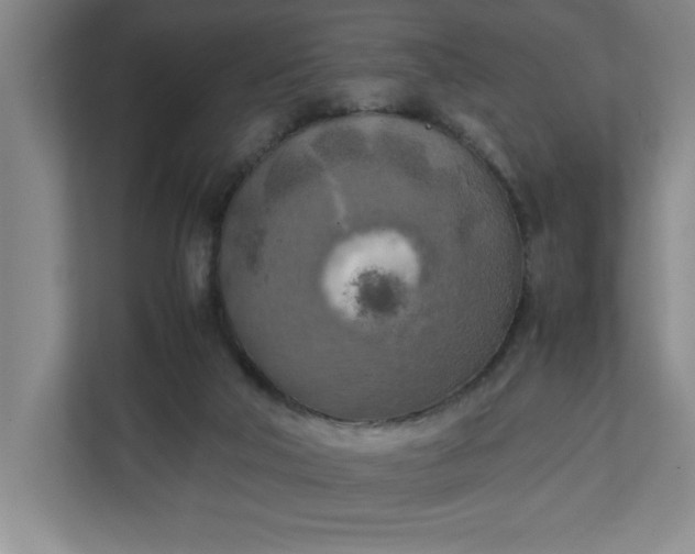 X0000111150018200907071118