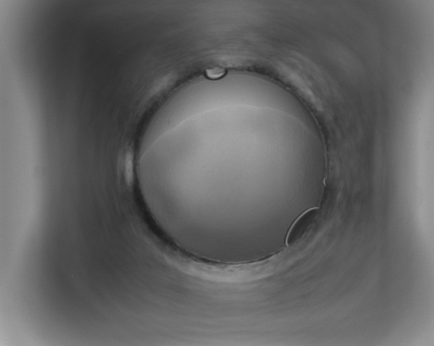 X0000111150019200907071118