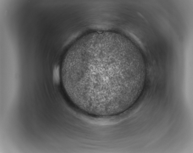 X0000111150020200907071118
