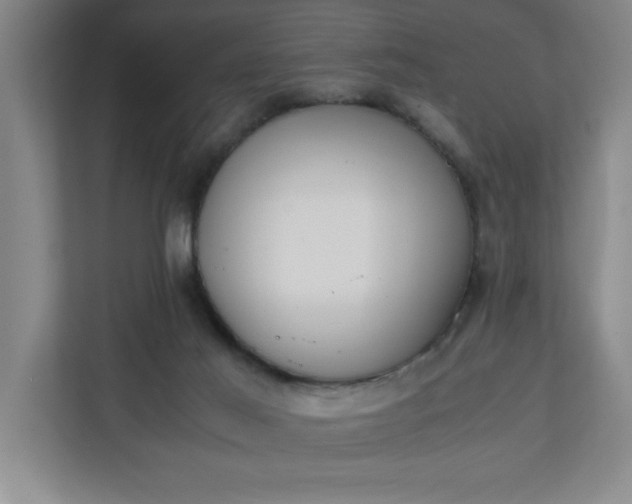 X0000111150021200907071118