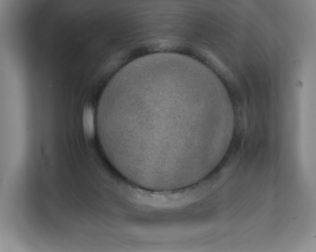 X0000111150022200907071118