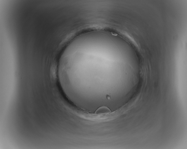 X0000111150023200907071118