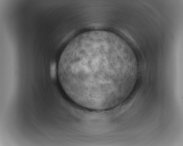 X0000111150024200907071118