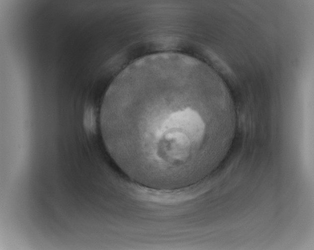X0000111150026200907071118