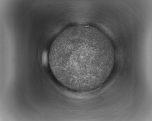 X0000111150028200907071118