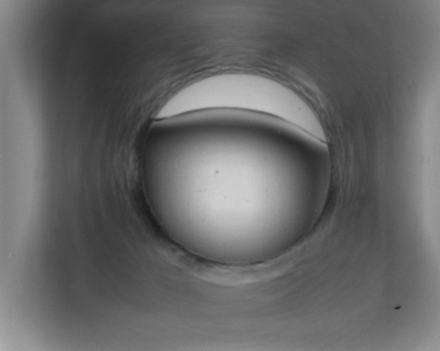 X0000111150029200907071118