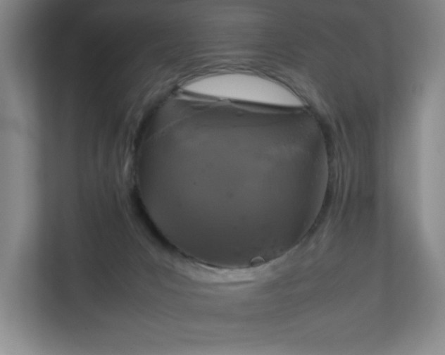 X0000111150031200907071118
