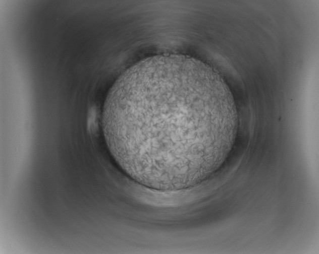 X0000111150038200907071118