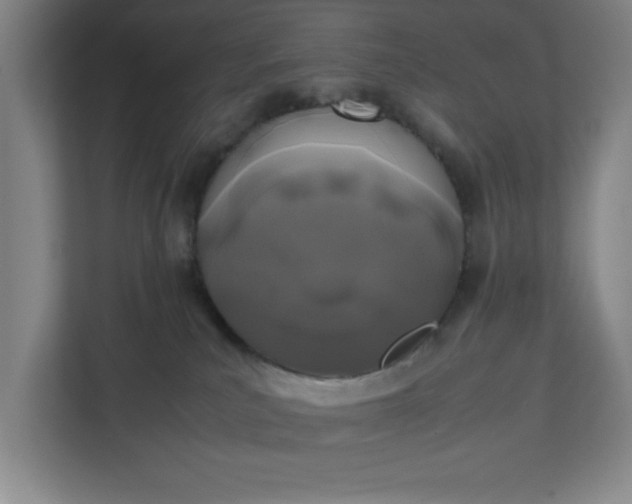 X0000111150039200907071118