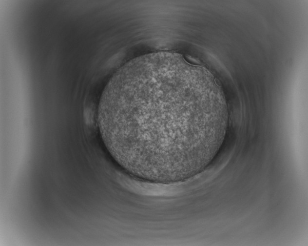 X0000111150044200907071118
