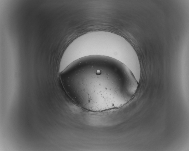 X0000111150045200907071118