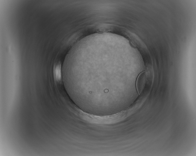 X0000111150046200907071118