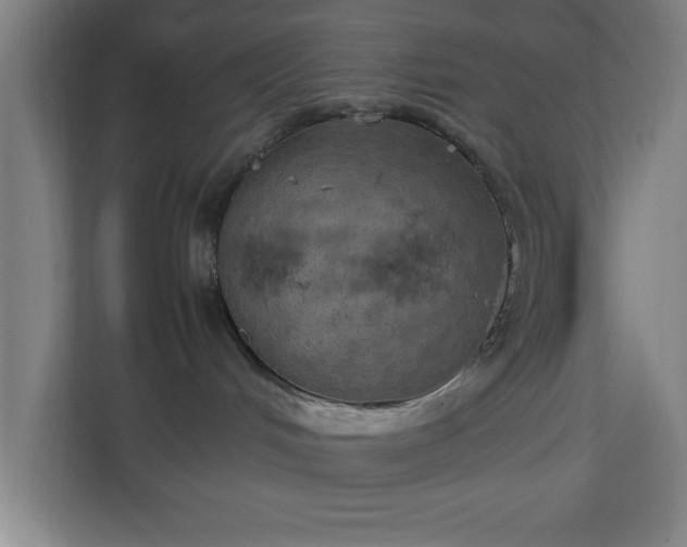 X0000111150048200907071117