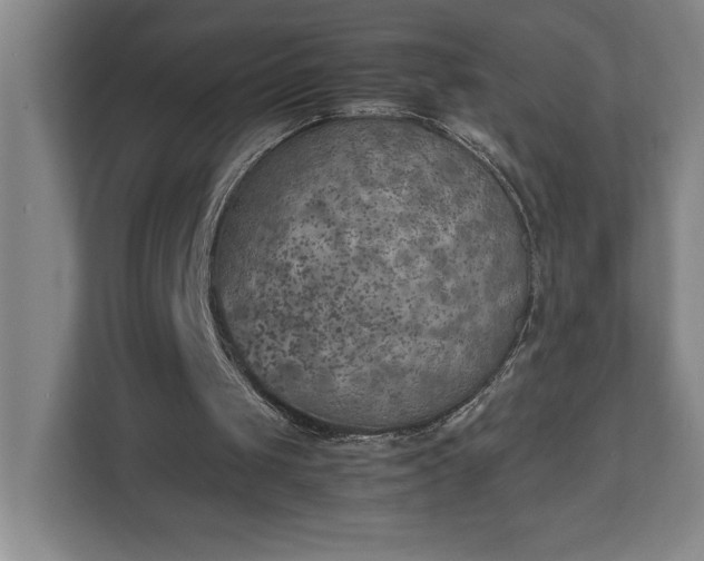 X0000111150049200907071117