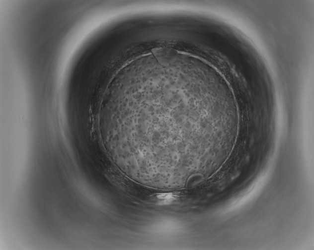 X0000111150050200907071117