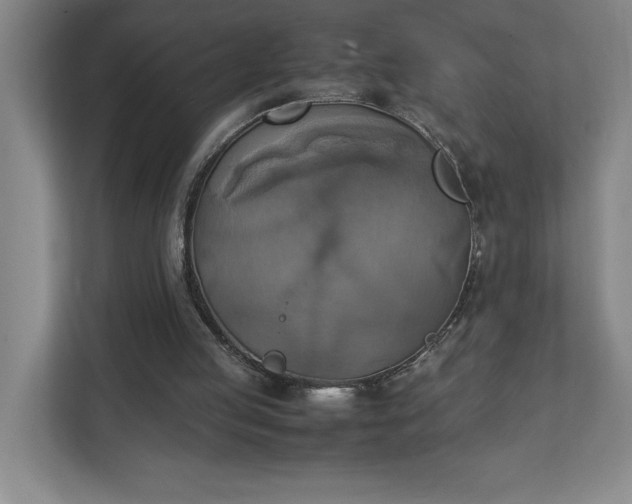 X0000111150053200907071117