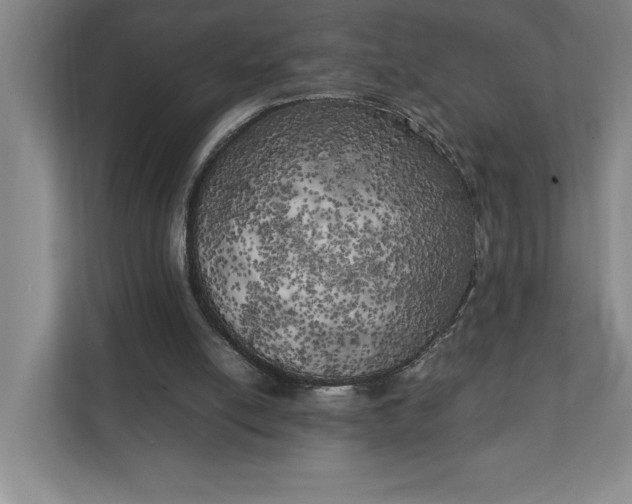 X0000111150054200907071117