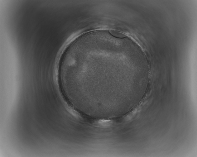 X0000111150055200907071117