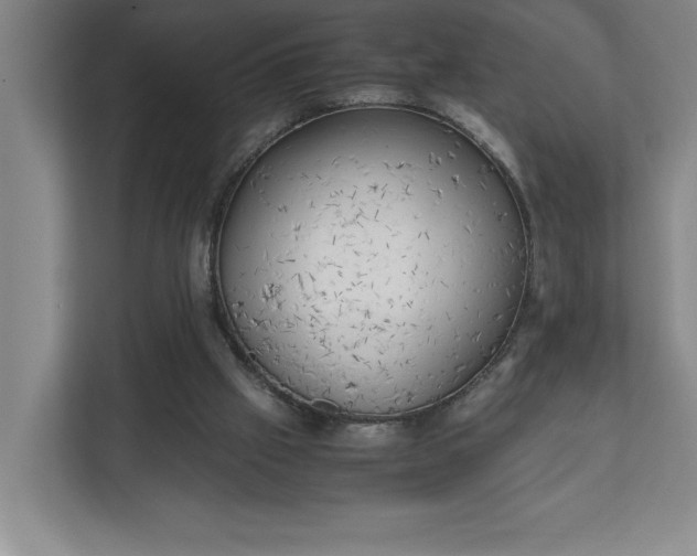 X0000111150057200907071117