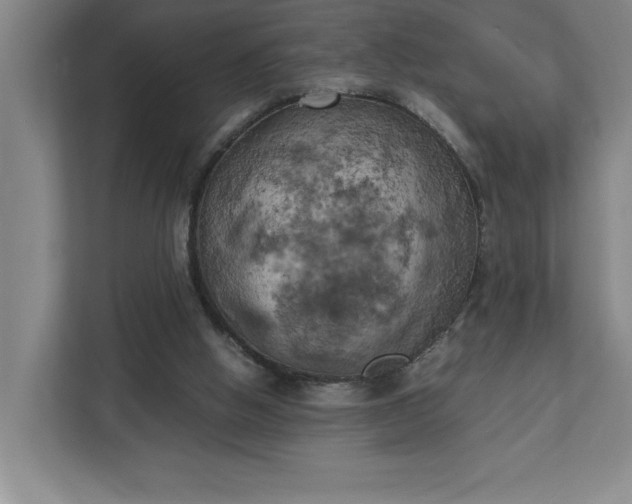 X0000111150058200907071117