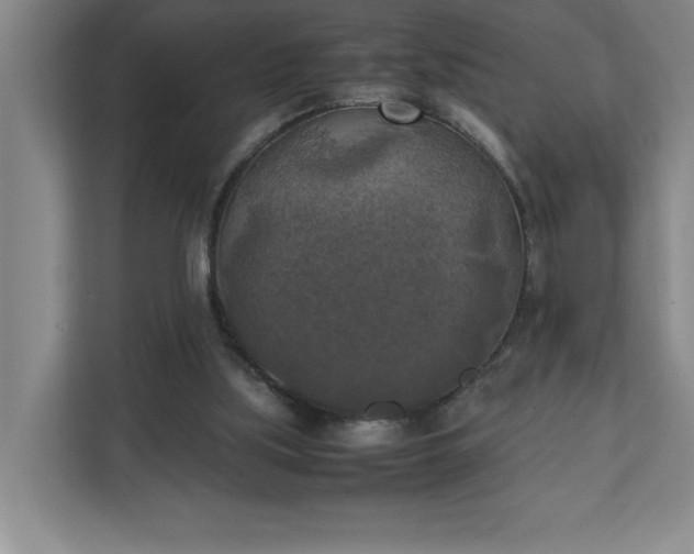 X0000111150059200907071117