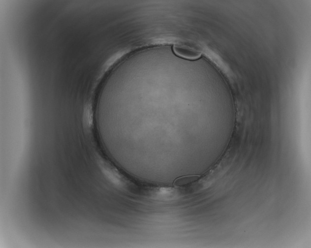 X0000111150060200907071117
