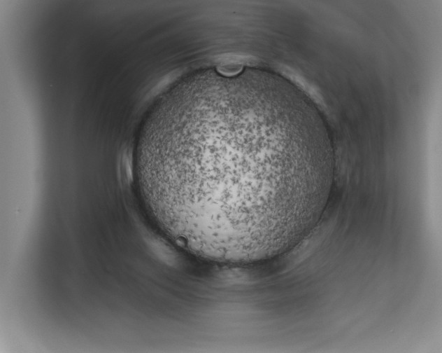 X0000111150062200907071117