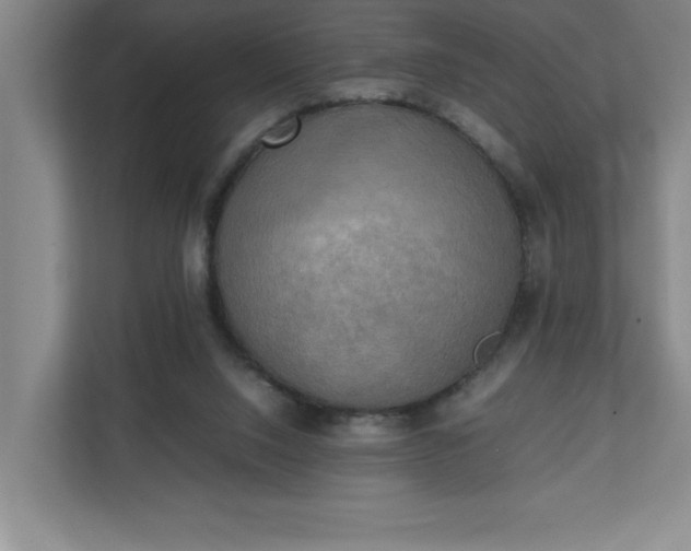 X0000111150064200907071117