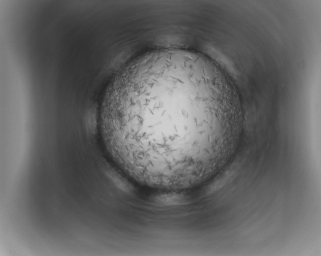 X0000111150065200907071117