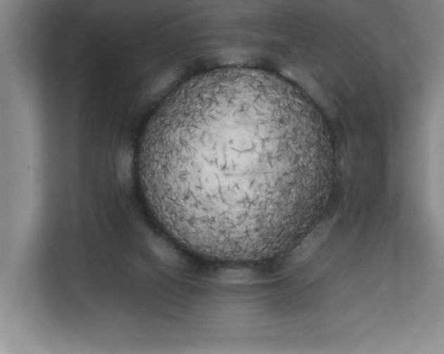 X0000111150066200907071117