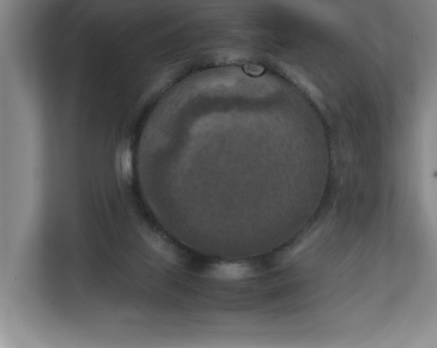 X0000111150067200907071117