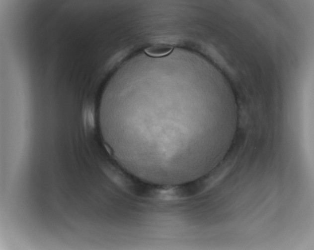 X0000111150068200907071117